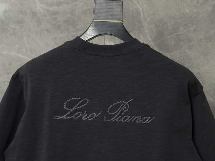 Loro Piana T Shirts Short _SKULoroPianaM-2XLaztxQ748737